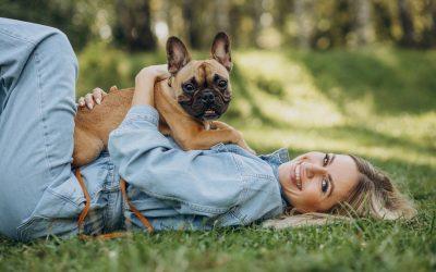 Az emberi depresszió hatása a kutyákra