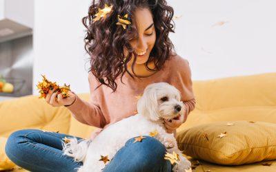 Hogyan távolítsuk el a kutyaszőrt a lakásból?