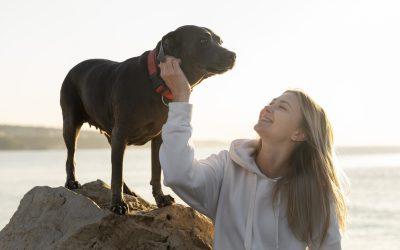 Képesek a kutyák megkülönböztetni a szándékos és véletlen emberi viselkedést?